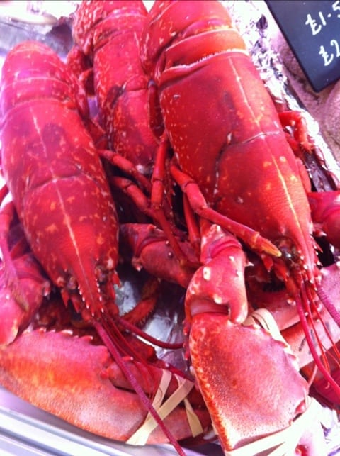 20111216-134917.jpg