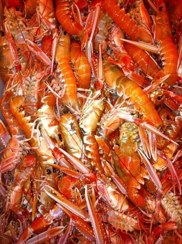 20120224-161702.jpg