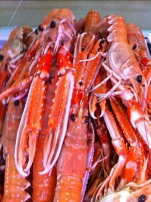 20120727-072027.jpg