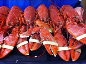 20120823-175048.jpg