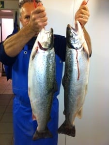 20120823-182905.jpg
