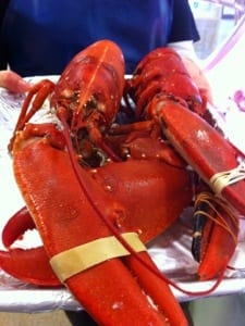 20120908-090032.jpg