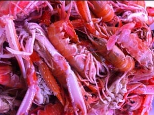 20130104-112058.jpg