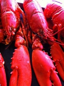 20130908-093123.jpg